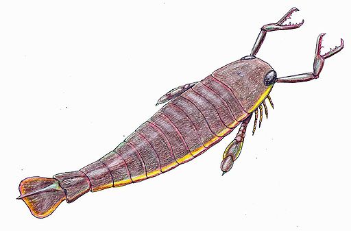supersized scorpion