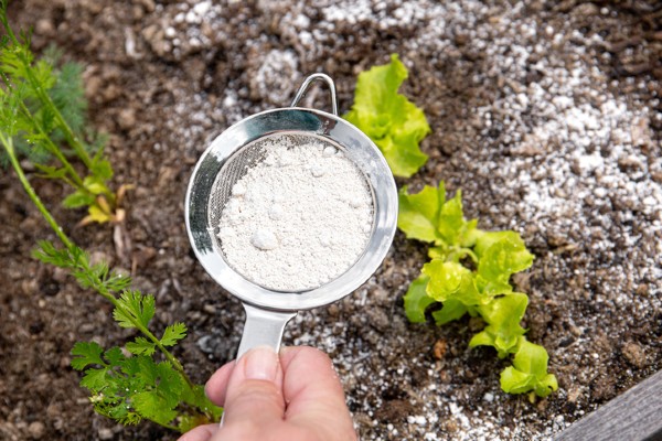 Powder being sieved
