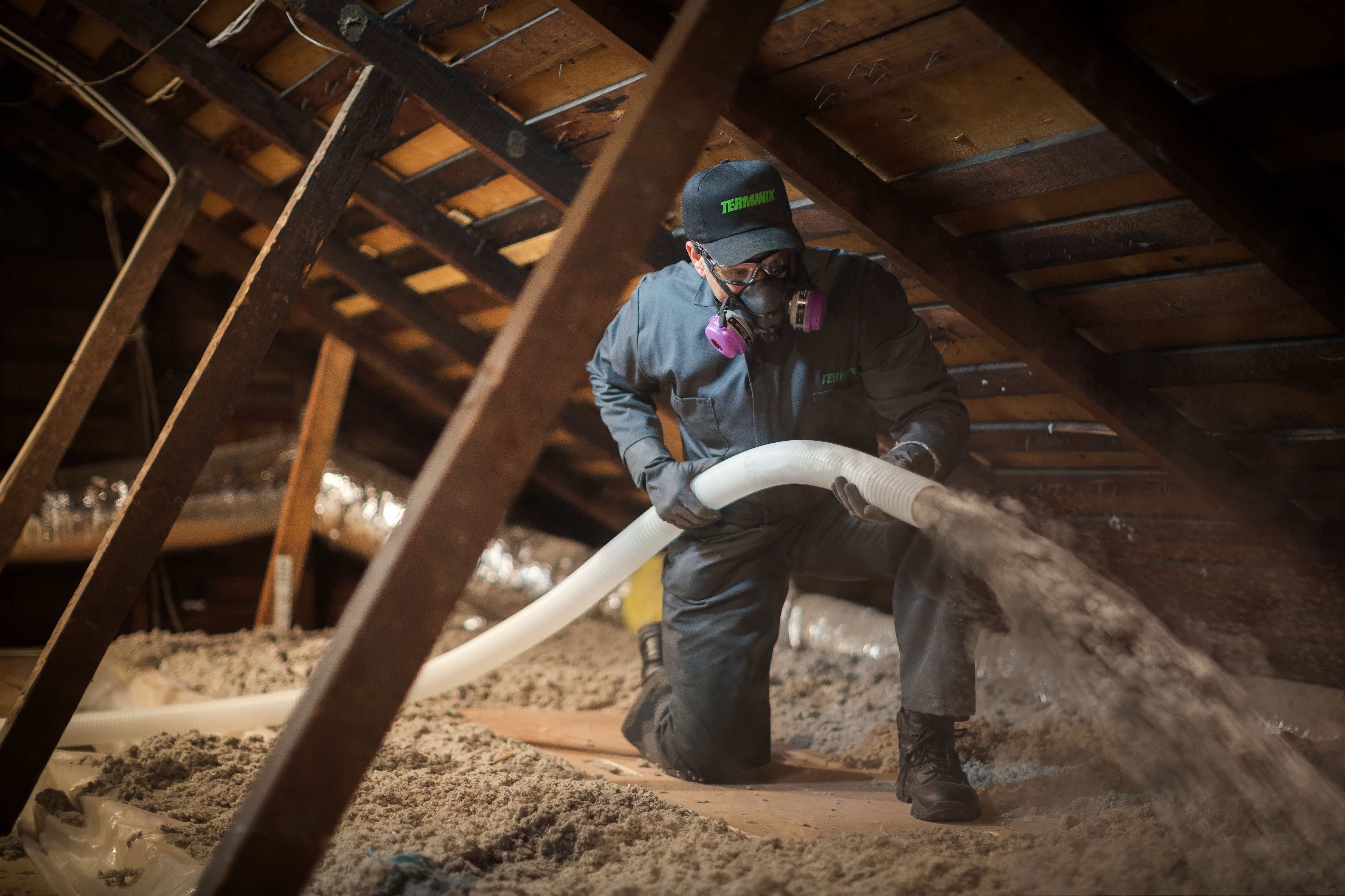 Terminix insulation technician