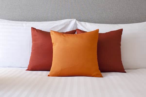 bed-bugs-and-travelers