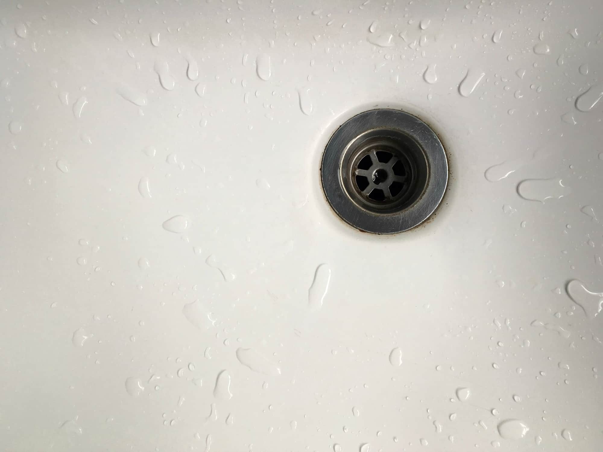 bugs in drain