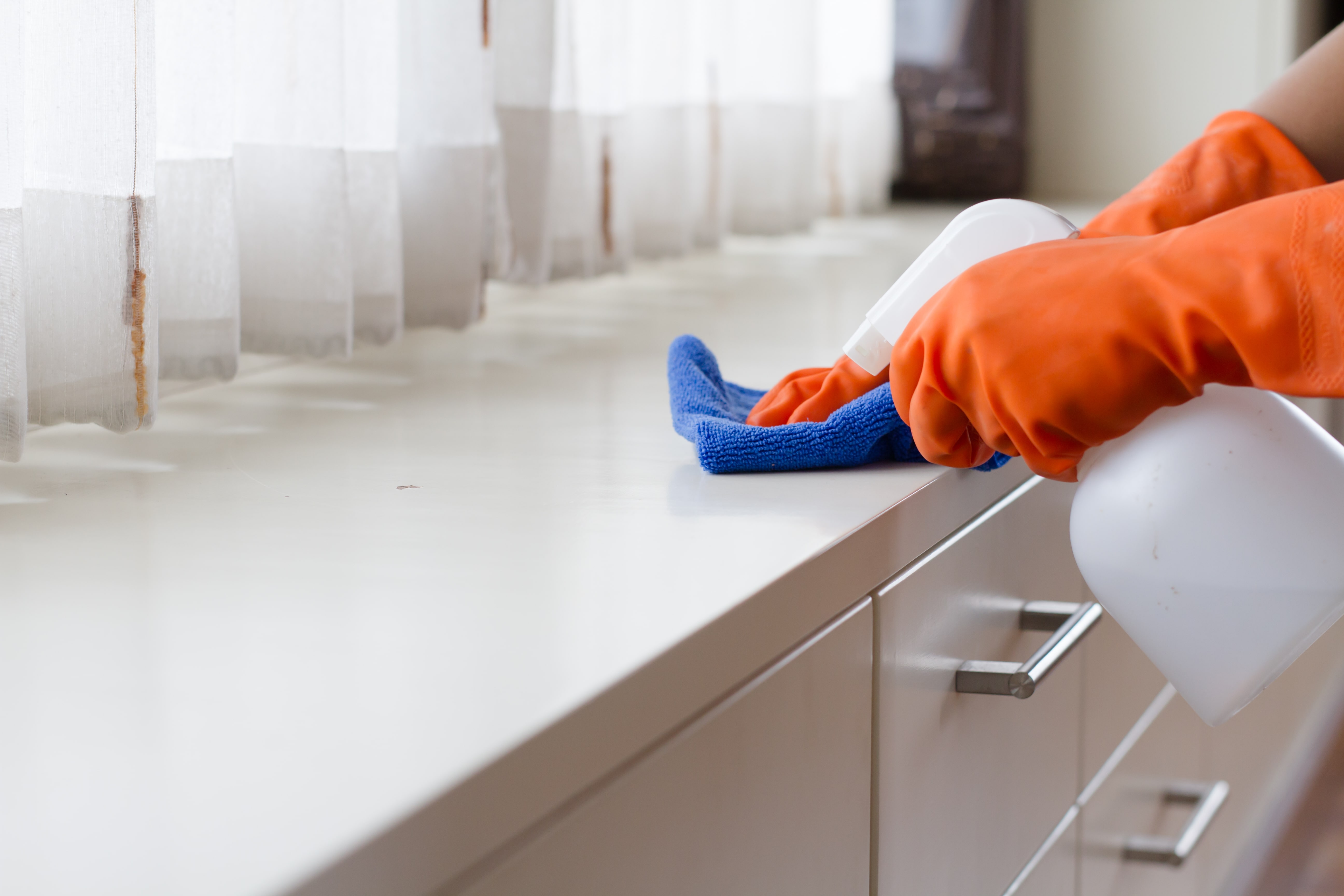 does bleach kill bed bugs