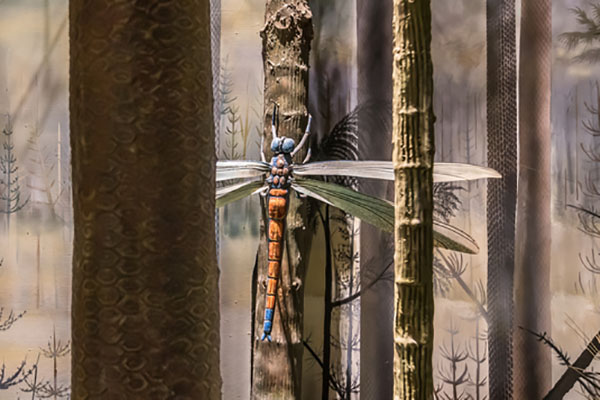 giant-prehistoric-bugs