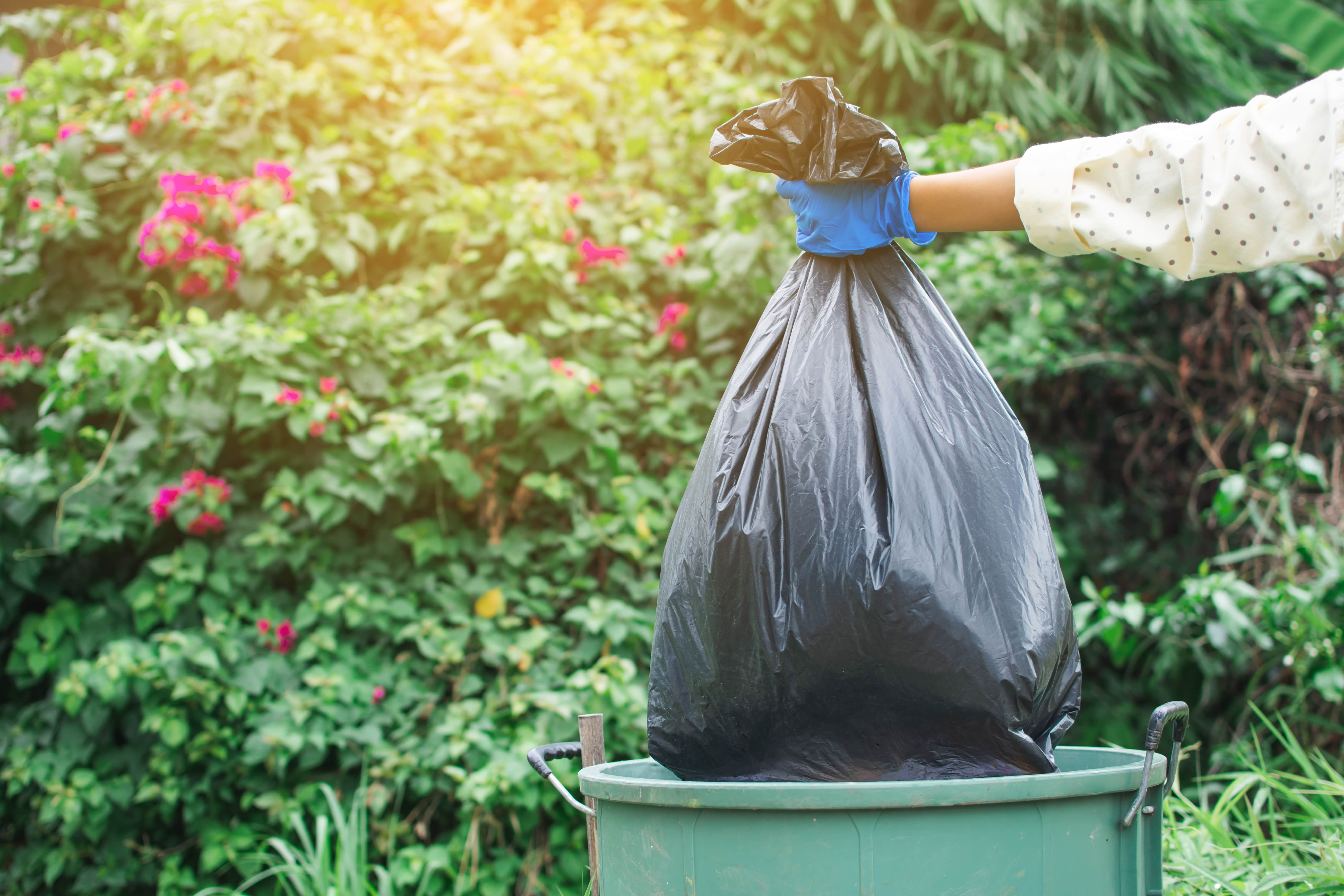 plastic bags and bed bugs