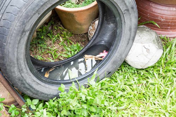 a puddle in an old tire