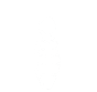 Termite white