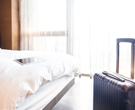 bed bug travel