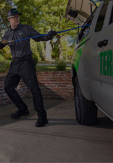 pest control