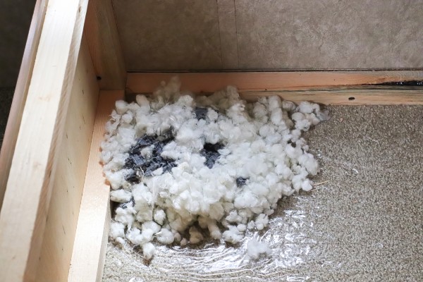 Rat Nest