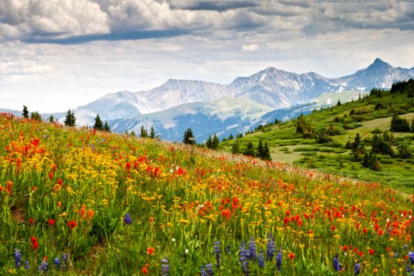 Colorado